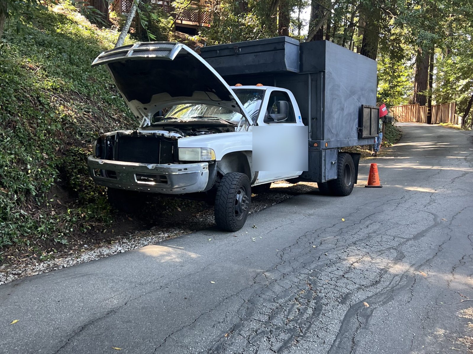 White commercial truck with its hood open on a narrow tree-lined road, an orange cone behind it